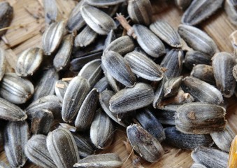 sunflower seeds on a bamboo weaved background