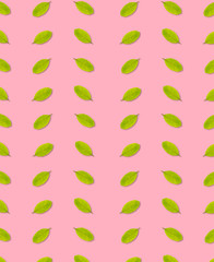 Seamless of leaf green color on pink background,leaves concept