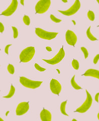 Seamless of leaf green color background,Flat lay leaves concept