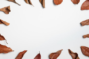 Autumn composition. Frame made of autumn leaves, Flat lay leaf on white background, top view, copy space