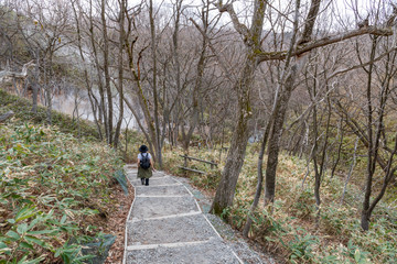 登別温泉 大湯沼川の天然足湯 / 北海道 登別温泉の観光イメージ