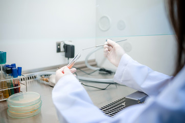 Scientist used chemical solution and equipment lab testing for Bacteria or virus on Fume Hood in laboratory ,Research and Science concept