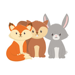 cute fox squirrel and rabbit sitting animals on white background