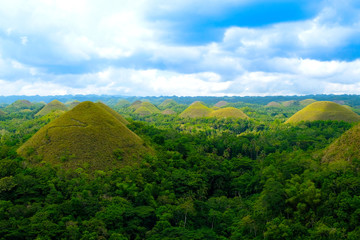 The nature of the forest is rich in nature. Chocolate Hill Bohol Hill