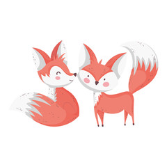 cute foxes cartoon animals on white background