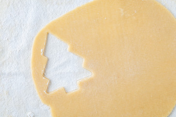 Rolled out cookie dough on pastry cloth, Christmas tree cookie cut out