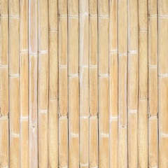 Bamboo fence wall background