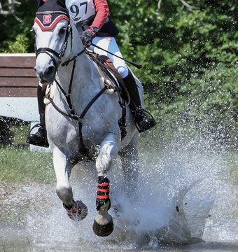 Cross Country Show Jumping Horse And Rider Eventing And Riding