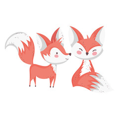 cute foxes cartoon animals on white background