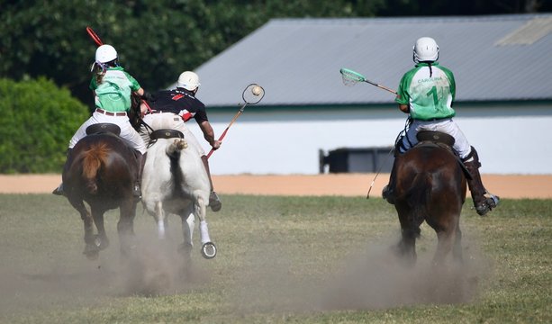 Polocrosse Images – Browse 75 Stock Photos, Vectors, and Video | Adobe ...