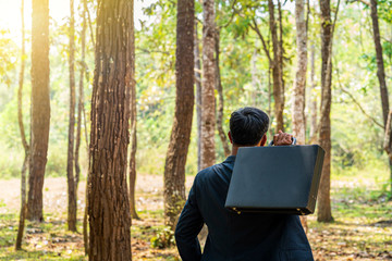 Fototapeta premium Business people are looking at forests to plan cities and buildings. Businessman in forest holding briefcase. Asian engineers work on plans construction in the forest park.