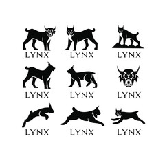 set lynx logo icon designs © Alpha Vector