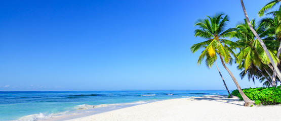 Fototapeta na wymiar paradise tropical beach sea on a tropical