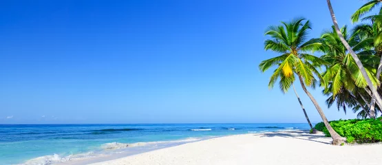 Tragetasche paradiesisches tropisches strandmeer auf einem tropischen © dbrus