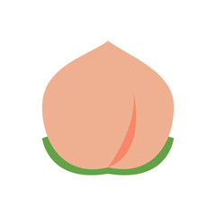 Peach icon,vector illustration. Flat design style. vector peach icon illustration isolated on White background, peach icon Eps10. peach icons graphic design vector symbols