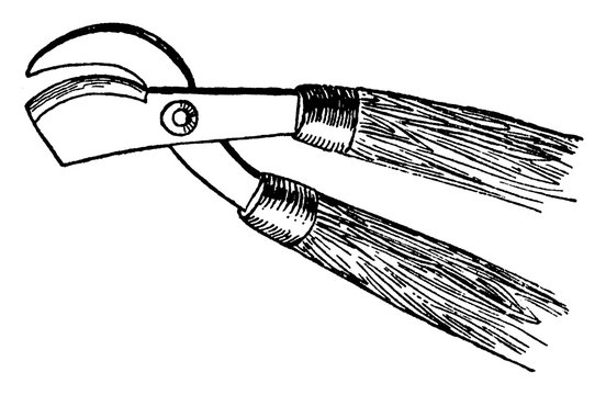 black and white pruning shears clip art preview