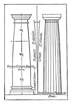 Entasis, order,  vintage engraving.