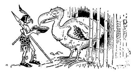 Animal Alphabet D, Dodo, vintage illustration © Morphart