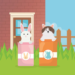 dog and rabbit with sacks food pet care
