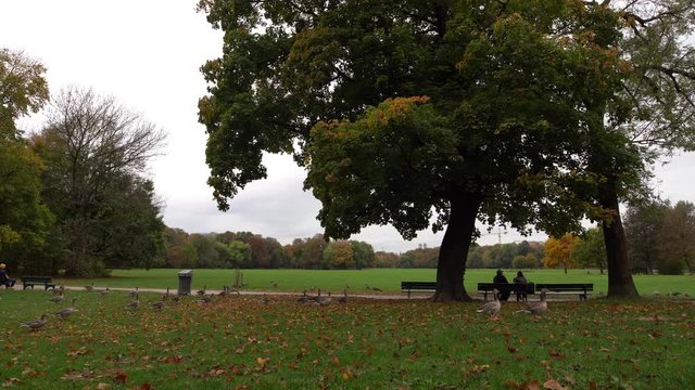 Gem&uuml;tlicher Herbstmoment im Park mit bunten Bl&auml;ttern und einem sitzenden P&auml;rchen auf einer Bank