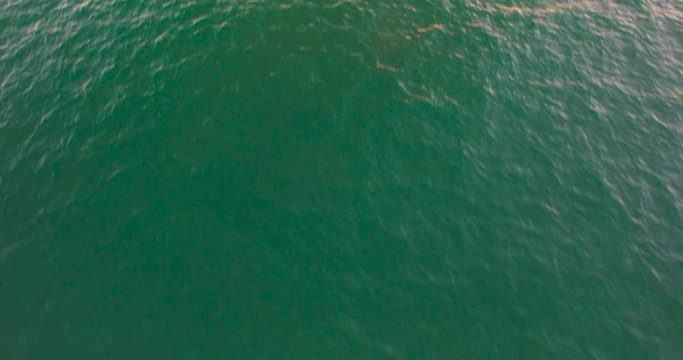 4K Aerial of boats cruising through a harbor out to sea at sunset.