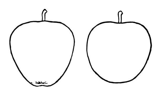 Conical and Ovoid Forms of Apple vintage illustration.