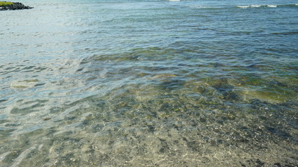 clear ocean water revealing shore of pebbles and turtles partially obscured