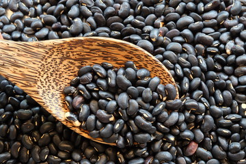 Naklejka premium black bean with organic concept