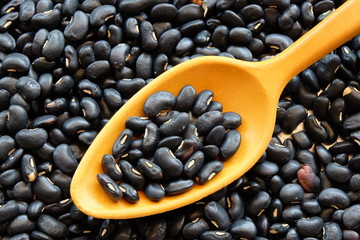 black bean with organic concept