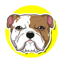 big head dog cartoon with yellow background