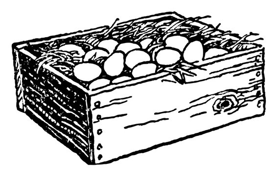 recommend clip art: Eggs in Wooden Box, vintage illustration.