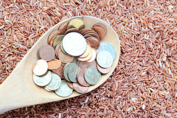 coin and red rice with business concept