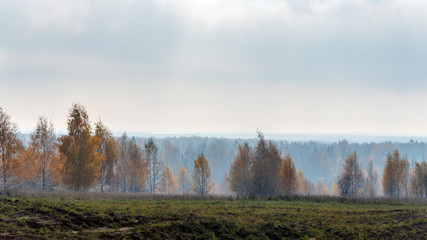 Obraz na płótnie Canvas Autumn morning rural landscape in backlit with fog