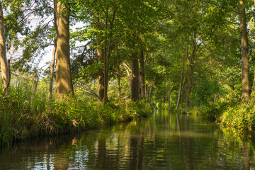 Bootsfahrt auf einem Kanal im Spreewald