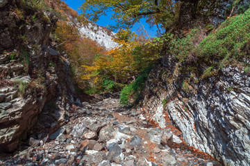 Mountain gorge in the autumn