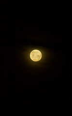 Orange full moon against black night sky
