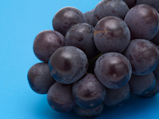 ブドウ　ニューピオーネ