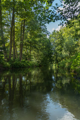 Fototapeta na wymiar Bootsfahrt auf einem Kanal im Spreewald