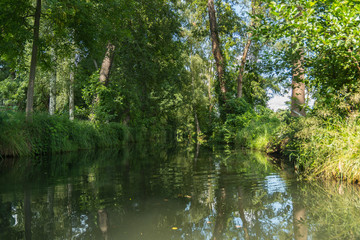 Fototapeta na wymiar Bootsfahrt auf einem Kanal im Spreewald