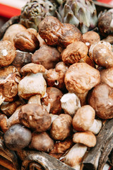 Italian food and pizza ingredients. Mushrooms in the market window.