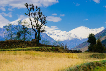Obraz premium Beautiful nature scenic landscape mountain view with rice field at annapurna circuit mountains.