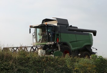 Combine harvester at work on an edge of a field in a cloudy  day of early autumn