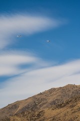 Gliding in Omarama is one of the favourite activity to do in New Zealand