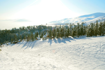 Beautiful winter landscape with snow covered mountains and trees. Snowy winter landscape