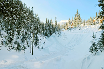 Fototapeta na wymiar Beautiful winter landscape with snow covered treesWinter snow forest landscape. Winter snowy forest. Winter snow forest background