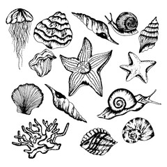 Monochrome Underwater Creatures Vector Hand Drawn Illustrated Set