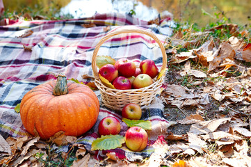 Composition of pumpkins, a basket of ripe red apples, on a checkered plaid on a background of dry, autumn foliage