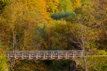 Wooden foot bridge against the backdrop of an autumn forest. Wedding locks hang on the railing of the bridge.
