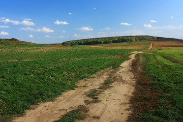 The road to the field