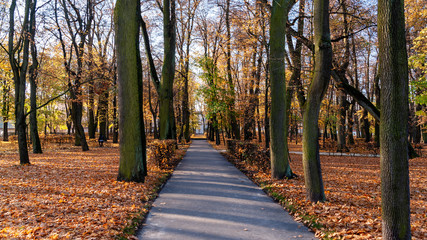Park Branickich jesienią, Wersal Podlasia, Białystok, Podlasie, Polska